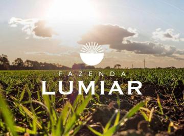 imagem-1 · Ágio Fazenda Lumiar – Chácara em Condomínio Fechado Chácara à Venda, 626.86 por R$ 564165.00 TA34607
