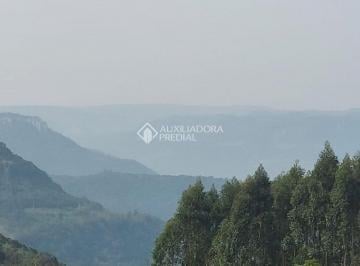 Terreno · 160600m² · Área de terras á venda em Galopolis, distante uns 25 km de Caxias do Sul