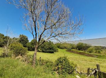 Terreno · 33000m² · Terreno à venda - em Nova Santa Rita