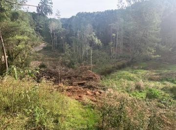 Terreno · 80000m² · Área de Terras à Venda em Gramado