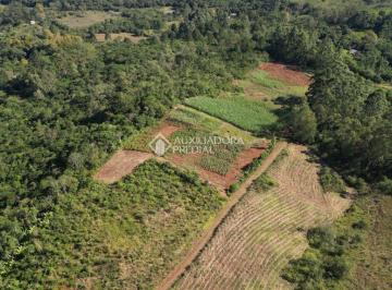 Terreno · 100000m² · Área de terra na Borrusia