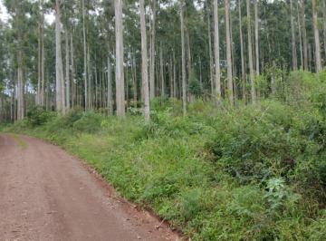 Terreno · 57634m² · Área de terra rural