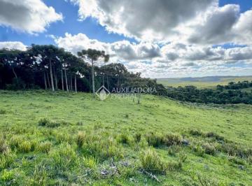 Terreno · 50000m² · Terreno à venda - em São Francisco de Paula