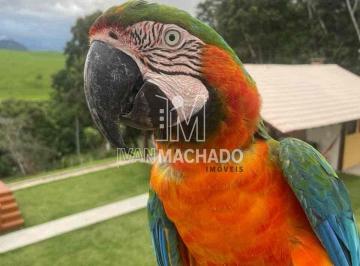 a1b53a1c-4d75-43c4-aa9a-4f0a8afb1989.jpg · Chácara à Venda, Nova Ponta da Fruta, Vila Velha, ES