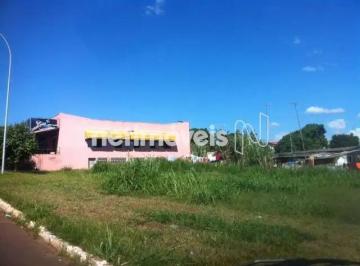 71b0117d-b27e-4e6e-a37b-34c08dd166f9.webp · ÓTIMO LOTE para investidor! Quadra 15