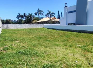41020_i19w51y346w7s721K7X8_4102069260544c25e9.jpg · Terreno com 509,40m² nos Ingleses.