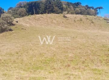 Rural · 20000m² · 1 Quarto · Rurais à venda - em Apanhador