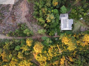 f8438f0fc24ed138189afd52ef76f8fdbecb2709 · Sítio à venda, 315000 m² por R$ 4.800.000,00 - Vila Inglesa - Campos do Jordão/SP