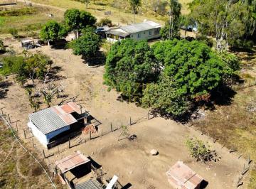 Rural de 4 quartos, Alexânia · FAZENDA 65 HA 52 KM DE TAGUATINGA