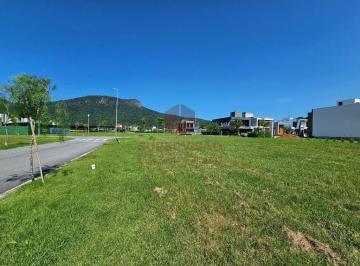 Terreno · 312m² · Terreno à venda - em Pedra Branca