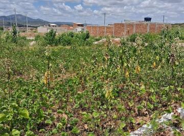 Terreno · 160m² · Terreno à venda, 160 m² por R$ 62.000,00 - Alto do Moura - Caruaru/PE