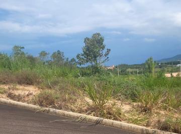8629_im63IKO4O9R9681KmZy_86296928796f91cfb.jpg · Imoveis - em Areias de Baixo