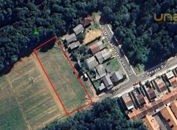 c22fbe43c250c95c0ba1fd8fd86aeb540d8d47a2 · Terreno à venda, 3817 m² por R$ 540.000,00 - Vila Brasila - Mandirituba/PR