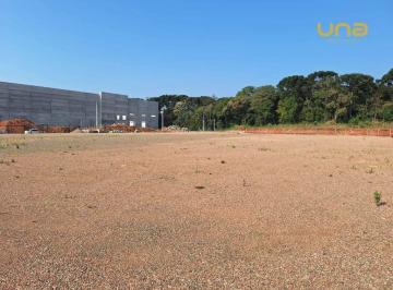 871de8148f4289578235fc06352c8dcb92728a9e · Terreno para alugar, 6300 m² por R$ 20.400,00/mês - Eucaliptos - Fazenda Rio Grande/PR