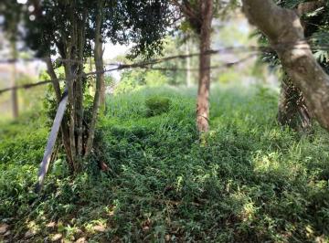 Foto 04 · Excelente terreno à venda na região do Tremembé Zona Norte.