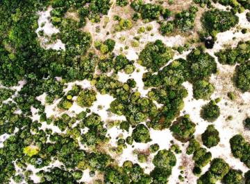 Comercial · 20000m² · 2 hectares, próximos do centro urbano, usina elétrica, pode ser condomínio, ou m