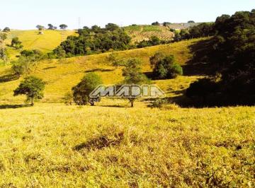 0 · sítio à venda em Morro das Pedras