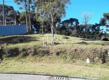 Terreno · 825m² · TERRENO NO CONDOMÍNIO ASPEN MOUNTAIN GRAMADO