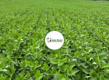 Rural , Conquista · Fazenda a venda em Conquista-MG - 325 hectares- DUPLA APTIDÃO - EXTRA