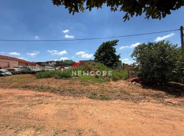 Terreno · Lote em  Avenida Francisco Antônio Maximiano - Jardim Vila Rica - Tanabi/SP