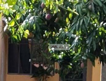 b982ea5e22dece1689bd51fa2a94e9a9c3d80771 · Casa com 3 quartos - Jardim Portugal - Valinhos/SP