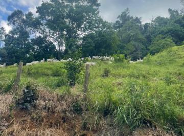 Rural de 4 quartos, Silva Jardim · Fazenda em Silva Jardim