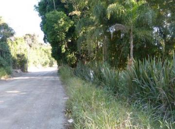 Terreno · 57000m² · Terreno - Potuverá