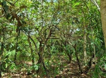 Foto 01 · Oportunidade lindo terreno em Chapada dos Guimarães-MT com 360m² com duas frentes e um lindo bosqinh