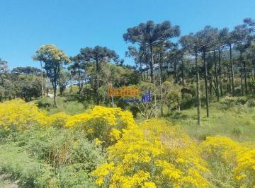 bttxcjy2otjimmywmgm3owrk_md · 7 Hectares, com rio, nascentes, lindas araucárias em Urubici!