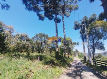 bkfzs9i2otjimmqyy2uxnjk4_md · Chacara apenas 3 km de estrada de chão