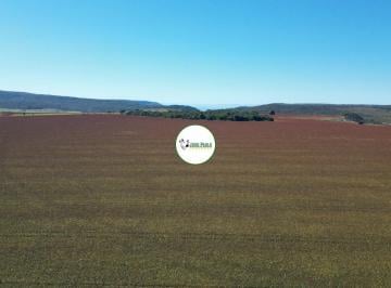 Rural , São João D'Aliança · Fazenda a venda em São João D'Aliança 502 hectares - 330 HA de plantio