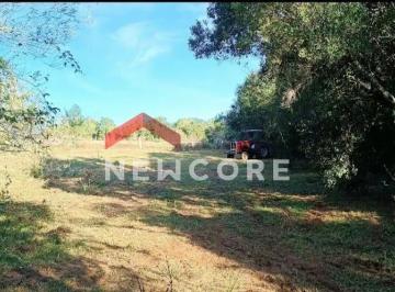 Rural · 5112m² · 1 Quarto · Chácara em  Estrada Carlos Arthur Scherer - Lomba Grande - Novo Hamburgo/RS