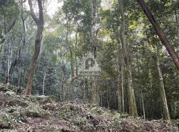 Terreno · 2400m² · ## **Lote de Terreno em São Conrado – 2.400 m² | RGI OK | Vista Mar e Natureza**
