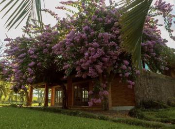 Rural · 1200m² · 7 Quartos · 30 Vagas · Chácara, 11 Quartos, Piscina, Colônia Malhada, São José dos Pinhais.