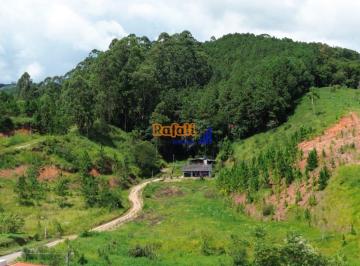 1fcp9do2nwvmntkyztnhmzy4_md · Sitio, Chácara, Área  urbana com nascente natureza  Santo Amaro, 2  hectares