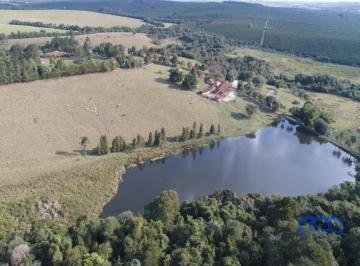 Foto 01 · Sítio/Fazenda à Venda, 56 alqueires por R$ 17.000.000 Cód. ch2548
