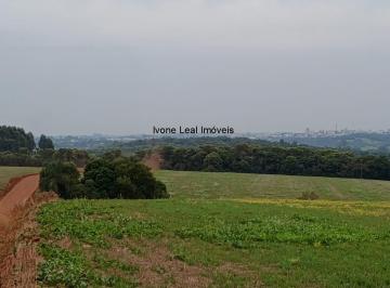 Foto 24 · Terras à venda em Santo Ângelo-RS, BR 285, Entre Ijuís, com 154.000,00 m² de área!