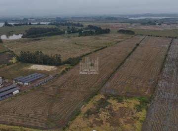 Foto 01 · Área Comercial de 61.279m² à venda em Santo Antônio da Patrulha-RS