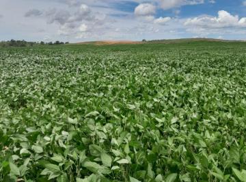 Rural de 4 quartos, São Domingos · Fazenda Divisa GO/BA -São Domingos - 1287 hectares - R$ 25.000 o hectare