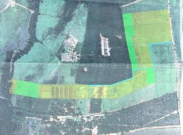 Rural , Planaltina · VENDE-SE TERRENO DE 20.000M² 