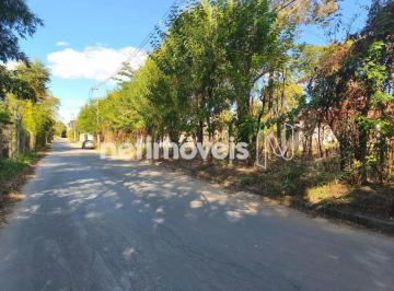23d0e5f3-00bd-4c28-a49a-be414186ba90.webp · LOTE PLANO BAIRRO ARBORIZADO