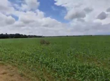 Rural de 3 quartos, Paracatu · Fazenda Lagoa Grande - MG com 1804 hactares Só R$ 35.000 o hectare