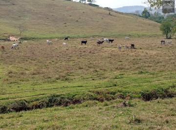 202512031650555386.jpg · Sítio para Venda em Monte Sião, ZONA RURAL