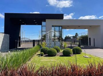 Terreno · 132m² · Terreno em Costeira, São José dos Pinhais/PR de 132m² à venda por R$ 241.000,00