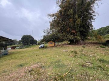 6281c644b27cb389b356358874835a5a4c45303d · Chácara com 2 dormitórios à venda, 11000 m² por R$ 900.000 - Jardim Nova Ipelândia - Suzano/SP