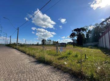 Terreno · 557m² · Terreno à venda em Ana Rech, Caxias do Sul