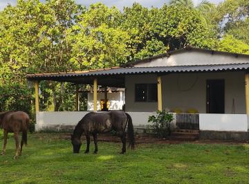 202512041642199466.jpg · Chácara para Venda em Campo Grande, Água Limpa Park, 3 dormitórios, 2 banheiros, 5 vagas