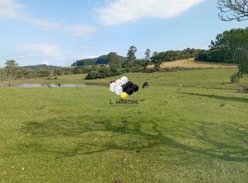 Rural · 71ha · Vende-se Fazenda Área Rural em Tapes RS Lavoura e Pecuária