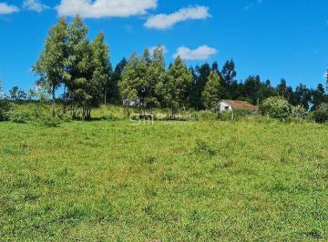 Imagem 1 · Fazenda