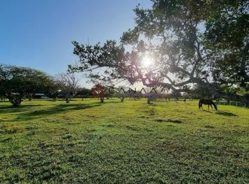Imagem 1 · Fazenda